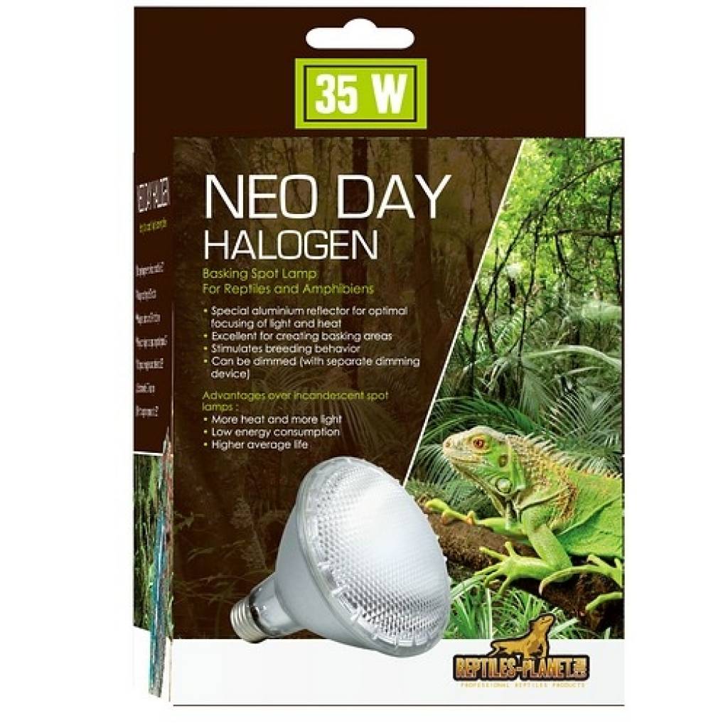 Neo Day Halogen